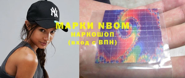 прущие грибы Осинники