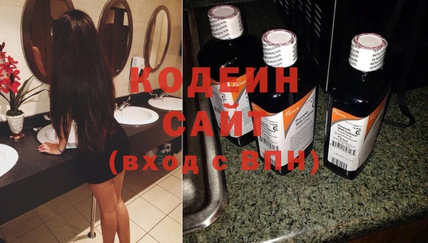 прущие грибы Осинники