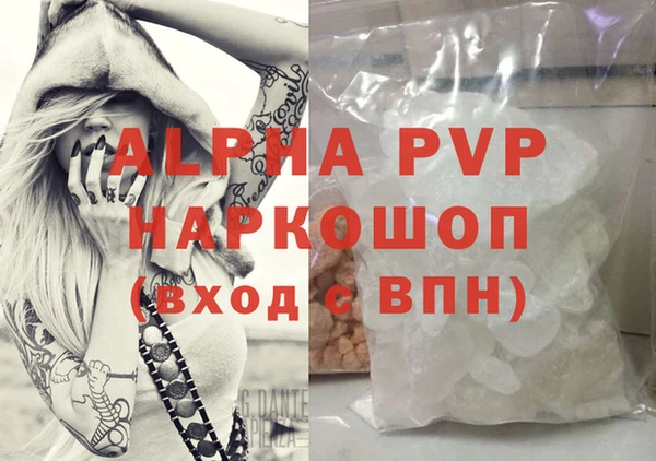 прущие грибы Осинники