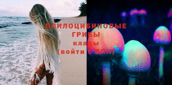 прущие грибы Осинники